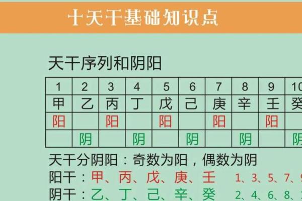 性格解析新视角：干支五行对照表揭示你的五行格局
