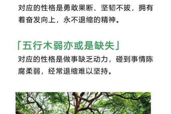 五行格局中的味字，揭秘你的性格密码，如何调整更和谐