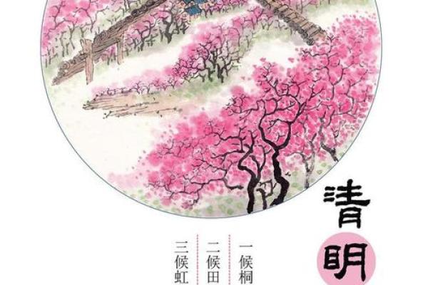 清明假期如何结合天文节气与传统祭扫习俗