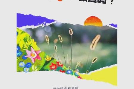 紫微命理的暗藏玄机：掌握这些法则，改变命运走向