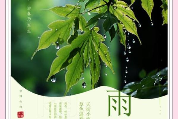 春日应用：利用节气调整作息提升工作效率