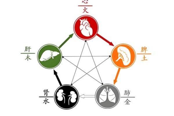 五行误区大揭秘：别再被五脏性格标签所束缚，如何正确解读五行格局？
