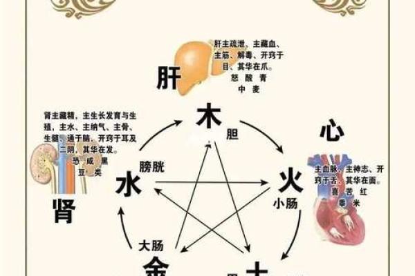五行误区大揭秘：别再被五脏性格标签所束缚，如何正确解读五行格局？