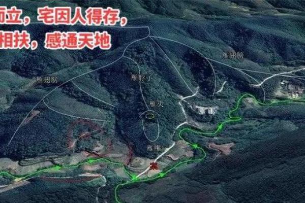 如何改变你的命运密码~命理师揭示八字中的暗藏玄机