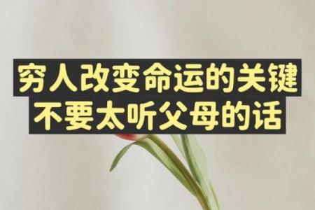 八字命理的误区：李浩宇揭示如何改变命运的关键