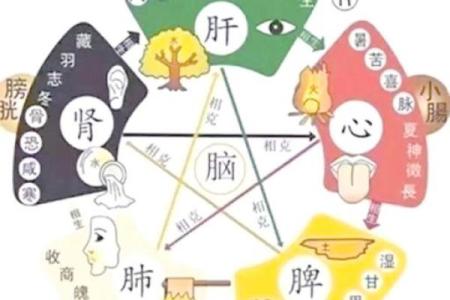 五行性格解码：如何改变你的运势格局？