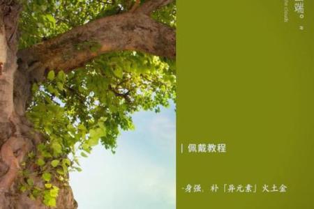 解锁五行格局：性格提升的秘密武器