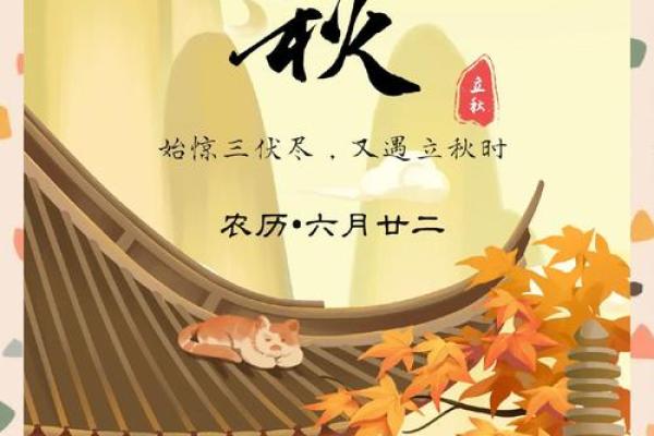 十月初五的节气与农业生产：秋收的关键时刻