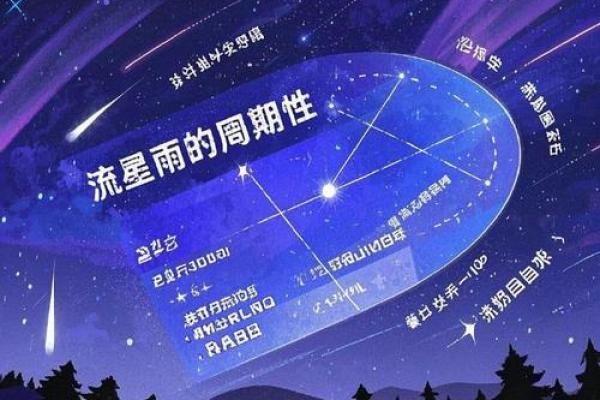 天文节庆：如何在这一天捕捉流星雨的美丽