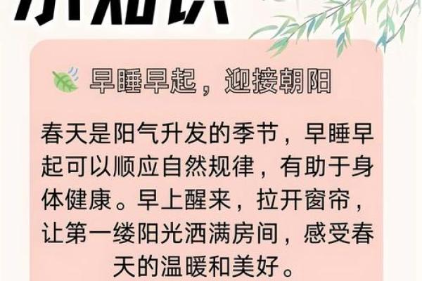 清明节的文化传承与养生之道