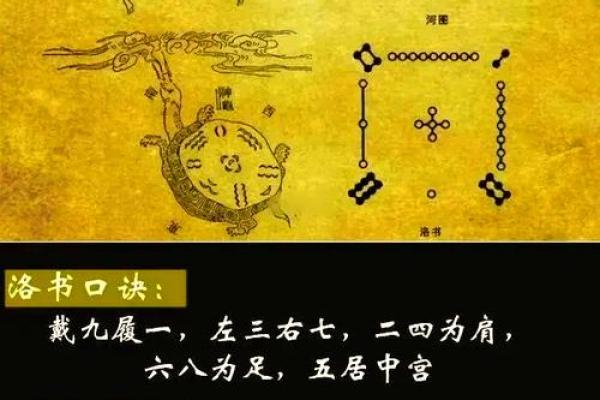 羽五行误区大揭秘：你真的了解自己的性格吗？