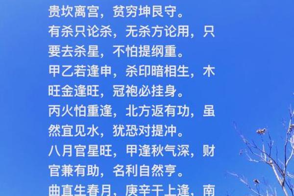 五行格局重塑指南：魏五行教你如何改变命运？