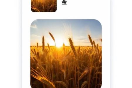 锦的五行性格解析：摆脱误区，挖掘你的潜能