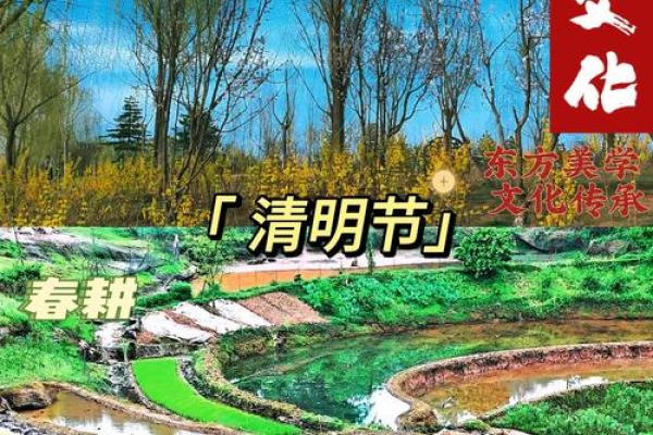 朝鲜清明节：纪念先祖与农业文明的纽带