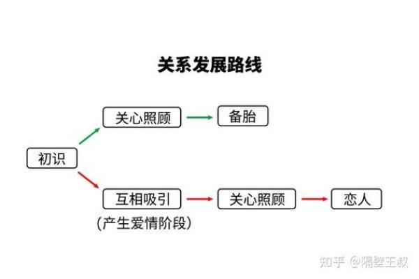五行格局调整攻略：避开这些误区，提升你的生活品质