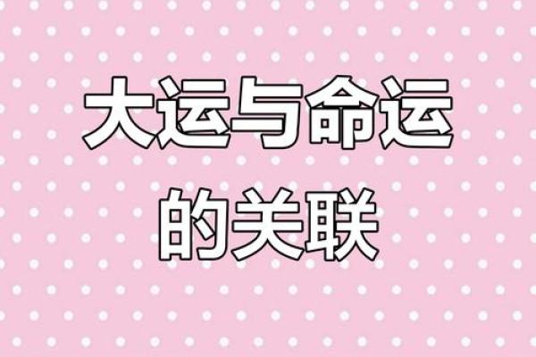 林庚白命理的秘密：命运密码如何解锁？这些玄机你绝对不容错过！