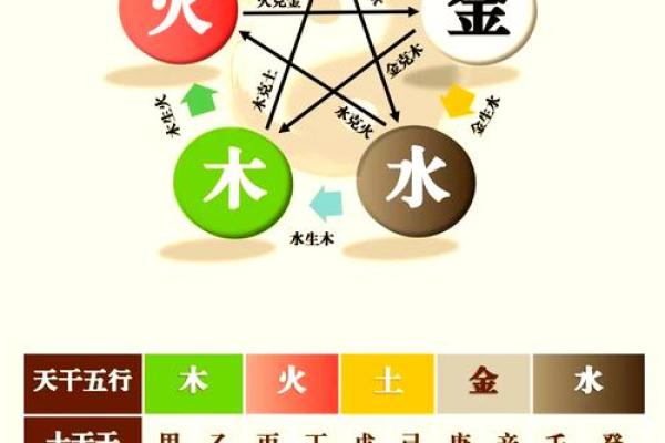五行格局揭秘：你属什么，命运如何？