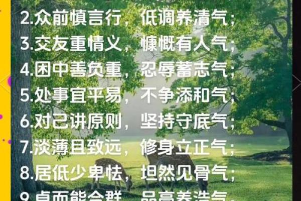 芝字五行格局，性格解析中的实用指南：走出误区，成就非凡人生