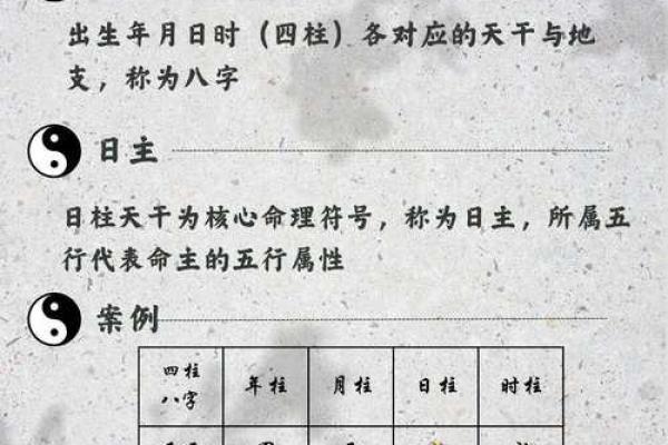 命运密码揭示：命理分析师如何洞察你未来的暗藏玄机