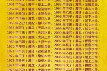 五行格局揭秘：你属什么，命运如何？