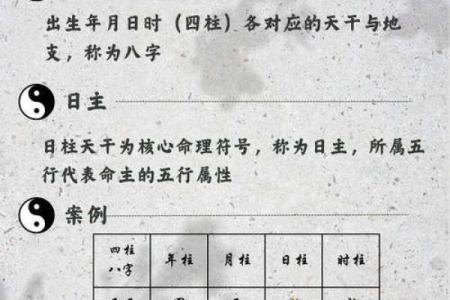 命运密码揭示：命理分析师如何洞察你未来的暗藏玄机