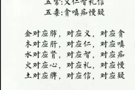 五行格局揭秘：如何通过命理罡改变你的性格命运？