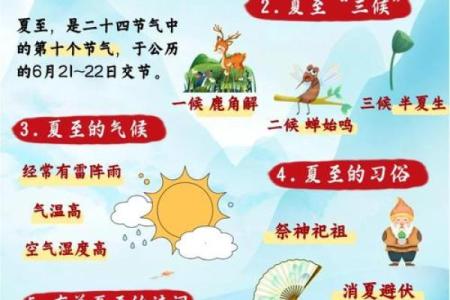 夏至：从天文角度探讨夏至节气的传统习俗