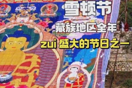 藏族雪顿节：养生与传统美食的完美结合