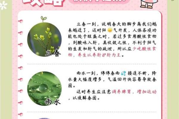四季节气与养生：一年的节日与健康秘诀