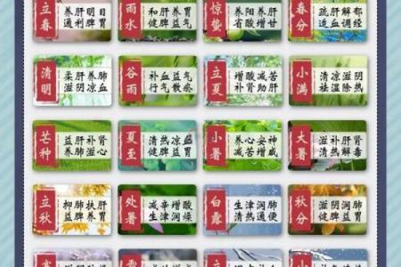 四季节气与养生：一年的节日与健康秘诀