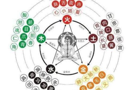 性格解析：五行格局教你如何认识自己