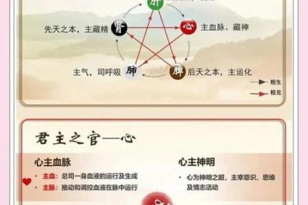 五行格局揭秘：膳食五行属什么？解析你的性格特质