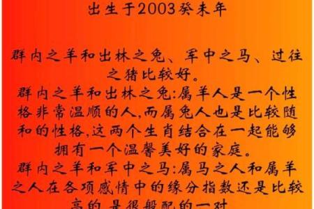 性格解析新视角：五行属性，揭开你的命运密码