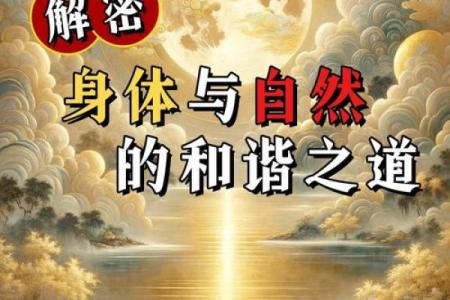 探秘五行格局：性格解析中的实用技巧与误区规避