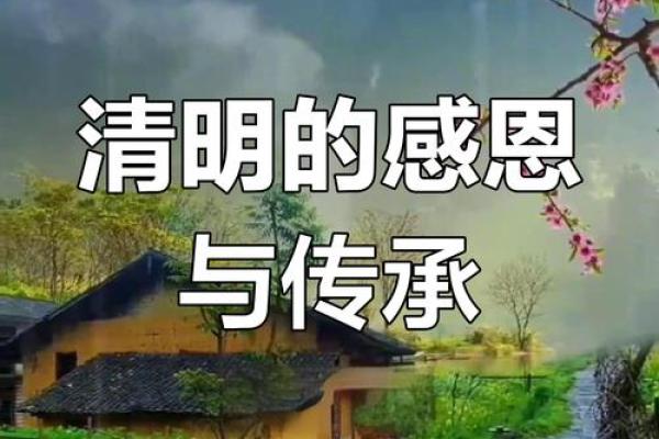 清明节的气息：从祭祖到踏青的文化传承