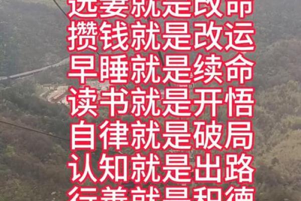 探索命运密码：钟义明打破八字命理常见误区