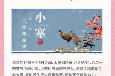 小寒：小寒节气的养生重点，如何抵御寒冷