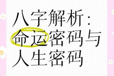 探索命运密码：钟义明打破八字命理常见误区