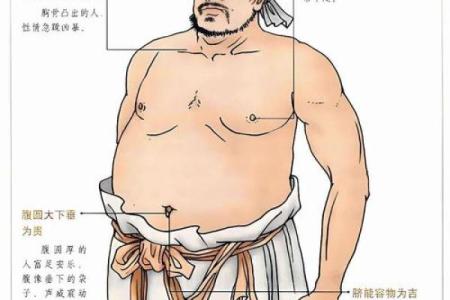 盲派命理揭示命运密码，误区背后竟隐藏这些玄机