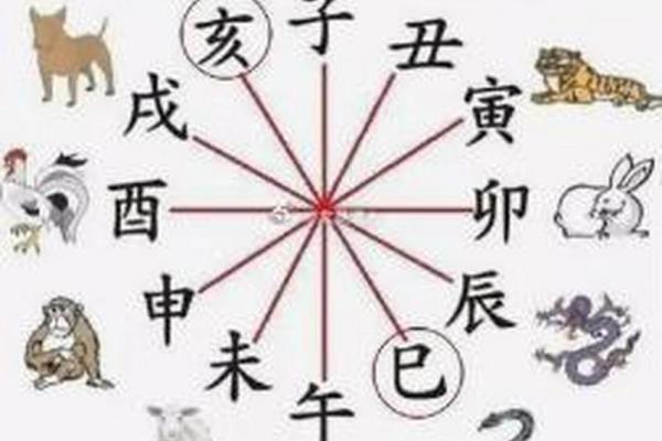 反转五行格局：生肖性格如何通过风水改变运势？