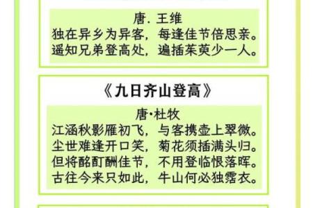重阳节：登高望远，敬老传承的文化意义