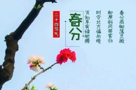 春分节气：天地交替，万物复苏的传统与养生
