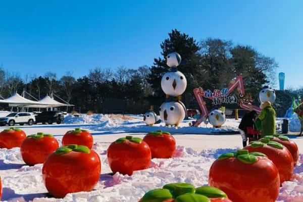 瑞士冰雪节：体验极寒中独特的冰雪艺术