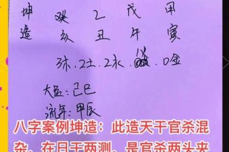 你不知道的八字真相：命运密码背后的颠覆性规律