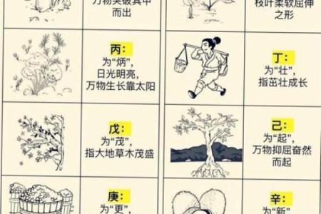 八月五行格局实用指南：如何根据性格调整生活格局？