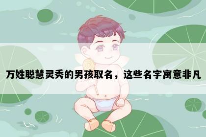 万姓聪慧灵秀的男孩取名，这些名字寓意非凡