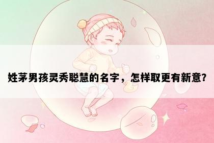 姓茅男孩灵秀聪慧的名字，怎样取更有新意？