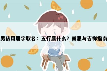 男孩用届字取名：五行属什么？禁忌与吉祥指南