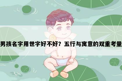 男孩名字用世字好不好？五行与寓意的双重考量
