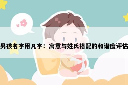 男孩名字用凡字：寓意与姓氏搭配的和谐度评估